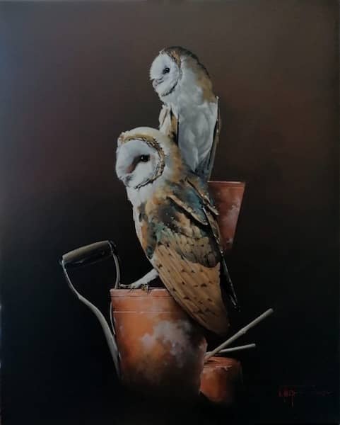 Owl study 1 by Davoid Thorpe