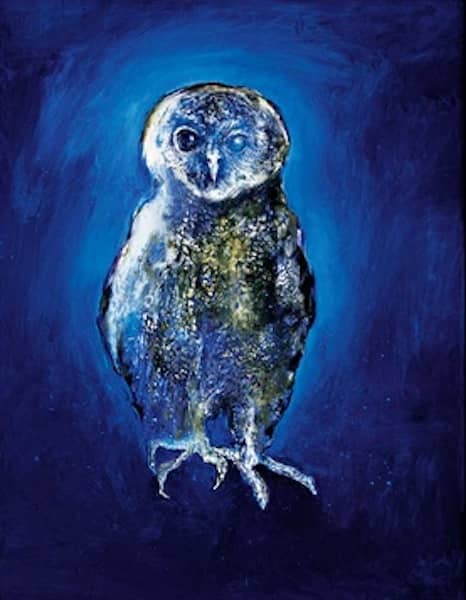 Blue Owl by Gail Catlin