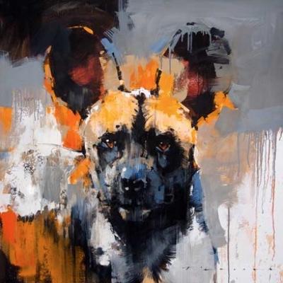 Wild dog by Peter Pharoah