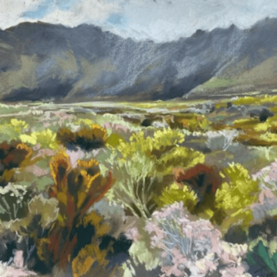 Fynbos Plains by Jenny Parsons